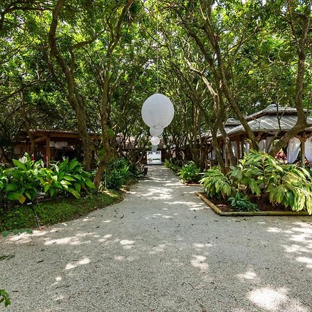 Willa Magical Wonderkoi House In A Japanese Koi Garden Miami Zewnętrze zdjęcie