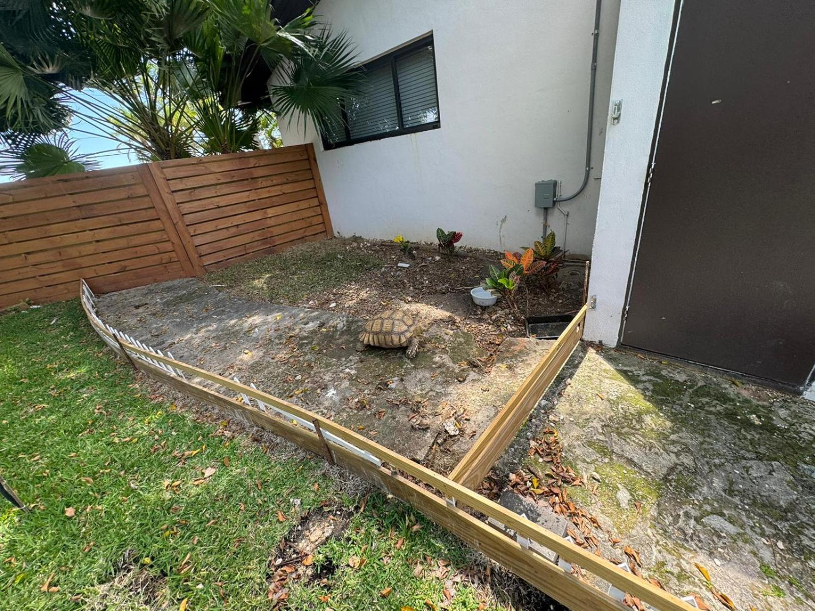 Willa Magical Wonderkoi House In A Japanese Koi Garden Miami Zewnętrze zdjęcie
