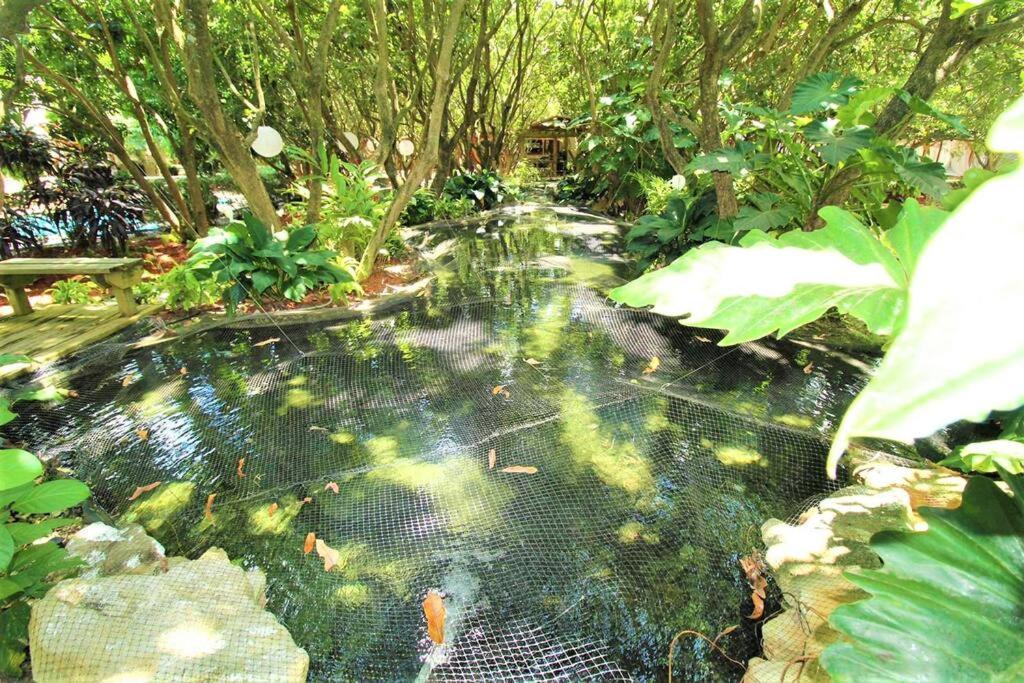Willa Magical Wonderkoi House In A Japanese Koi Garden Miami Zewnętrze zdjęcie